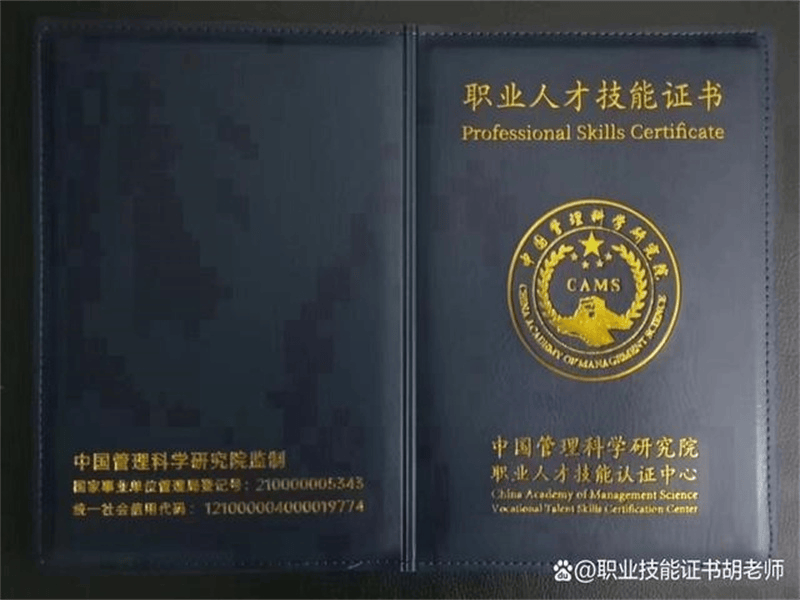 定制证书定制 定制证书定制-红金大气喜庆风
